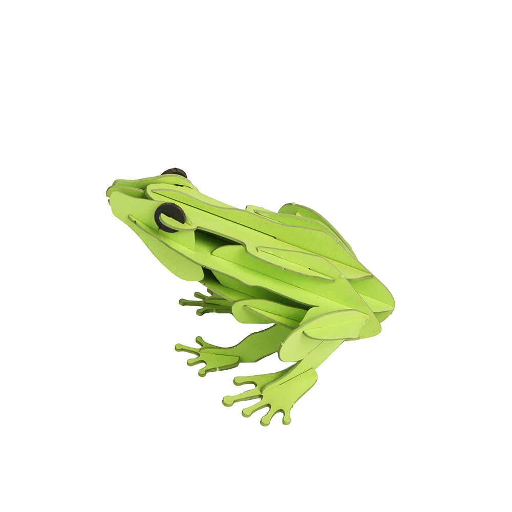 Frog Fun Art Creative Insect Model DIY Project Kit 3D Puzzle Arts and Crafts Set for Adults and Kids