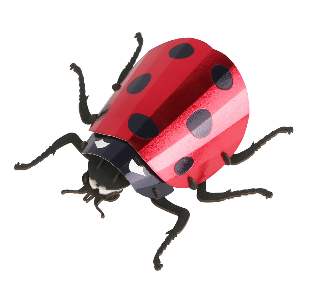 CUPUZ Custom 3D Paper Ladybird Insect Puzzle DIY Educational Assembly Toy Kids Adults Desktop Decor Gift Souvenir
